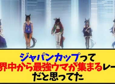 【ウマ娘】ウマ娘からの認識でジャパンカップって世界から最強馬が集まるレースだと思ってたんだけど…【反応集】