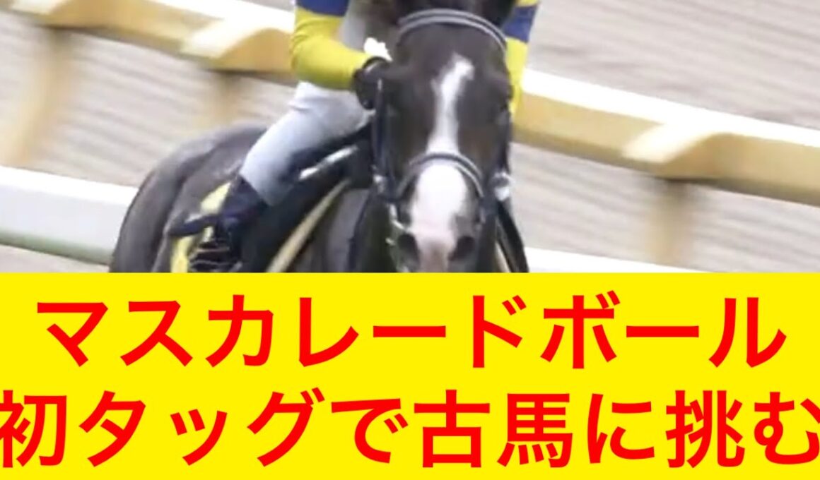 【競馬】マスカレードボールが天皇賞秋2025にルメール騎手と初タッグで挑む！手は合うのか！？【競馬の反応集】
