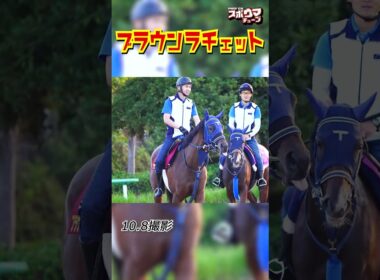 【秋華賞 出走予定】ブラウンラチェット 美浦での様子 #shorts