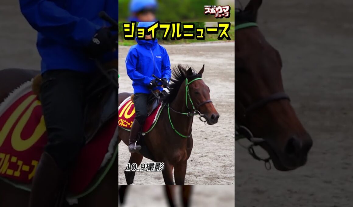 【秋華賞 出走予定】ジョイフルニュース 美浦での様子 #shorts