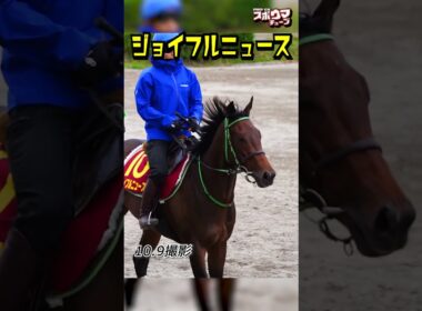 【秋華賞 出走予定】ジョイフルニュース 美浦での様子 #shorts