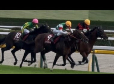 ［現地観戦］ 2025.10.5(日）東京11R 毎日王冠（G2）