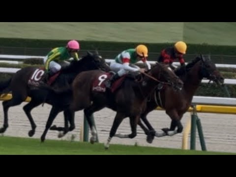 ［現地観戦］ 2025.10.5(日）東京11R 毎日王冠（G2）