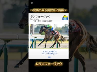 #阪神ジュベナイルフィリーズ #ブラウンラチェット#注目馬 #競馬予想