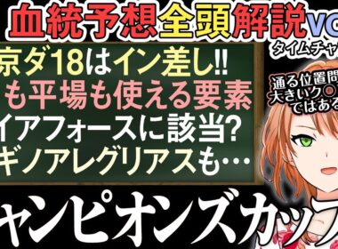 チャンピオンズカップ 2024 中京ダ18はイン差しでどのクラスも狙える血がある！(差し勢有力編) 全馬解説vol.1 #四条大学血統ゼミ🏇🧬