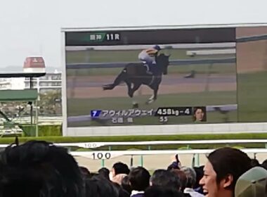 2019桜花賞　本馬場入場　ザ・チャンピオン