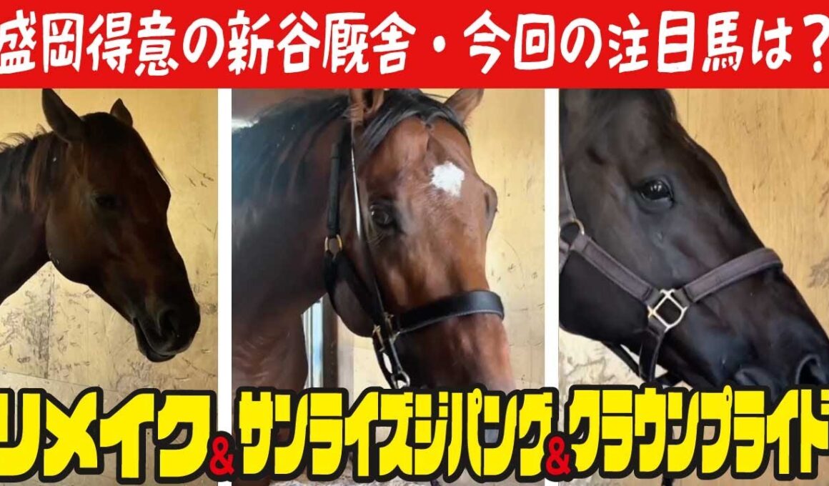 【マイルＣＳ南部杯2025】3頭出しの新谷調教師に3分半で全部を聞いちゃいました！リメイク､サンライズジパング､クラウンプライドです！
