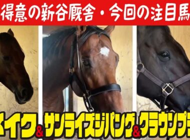 【マイルＣＳ南部杯2025】3頭出しの新谷調教師に3分半で全部を聞いちゃいました！リメイク､サンライズジパング､クラウンプライドです！