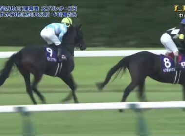 2025スプリンターズステークスG1 本馬場入場