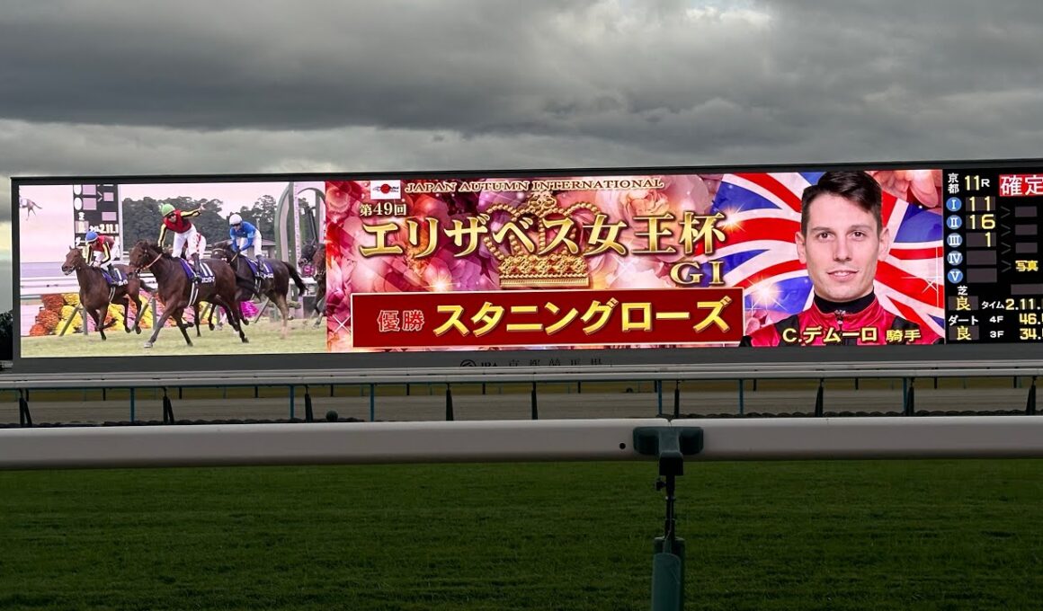 エリザベス女王杯 2024 スタニングローズ C・デムーロ騎手