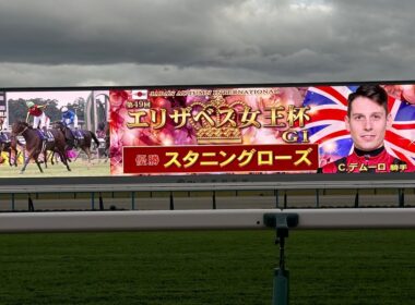 エリザベス女王杯 2024 スタニングローズ C・デムーロ騎手
