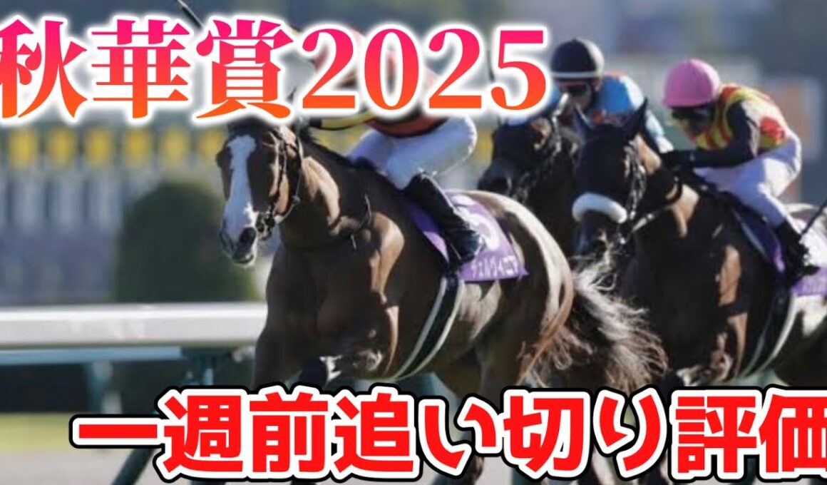 秋華賞2025 一週前追い切り評価