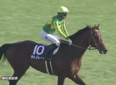 2025年高松宮記念 　サトノレーヴ