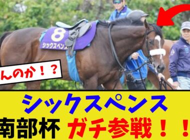シックスペンス、ガチで南部杯参戦！！【競馬反応集】