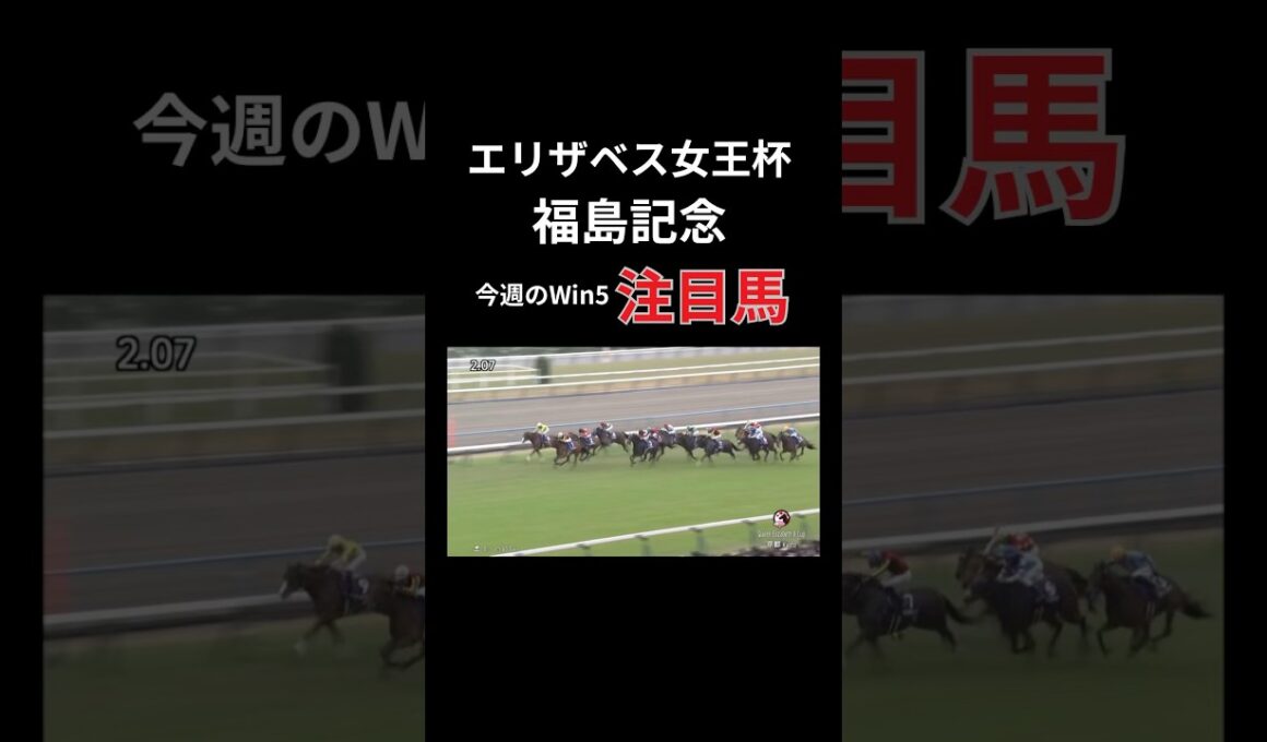 エリザベス女王杯&福島記念、今週のWin5注目馬#win5 #win5予想 #競馬 #競馬予想 #競馬初心者 #エリザベス女王杯 #福島記念