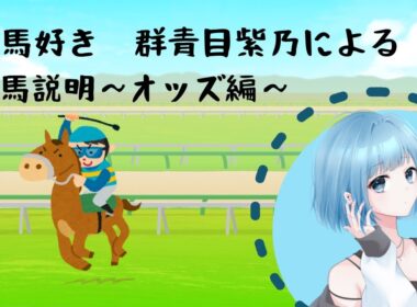 【新人Vtuber】競馬説明配信【オッズ説明】