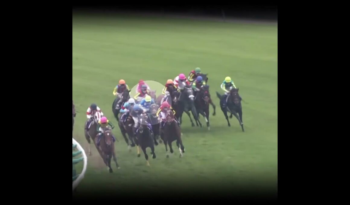 異次元の末脚 #競馬 #皐月賞 #ドゥラメンテ