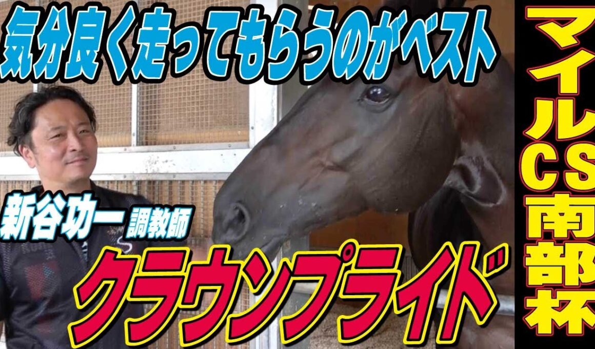 【マイルCS南部杯2025】クラウンプライド・新谷功一調教師インタビュー「とにかく気分良く走ってもらうのがベスト」《東スポ競馬》
