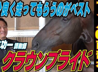 【マイルCS南部杯2025】クラウンプライド・新谷功一調教師インタビュー「とにかく気分良く走ってもらうのがベスト」《東スポ競馬》