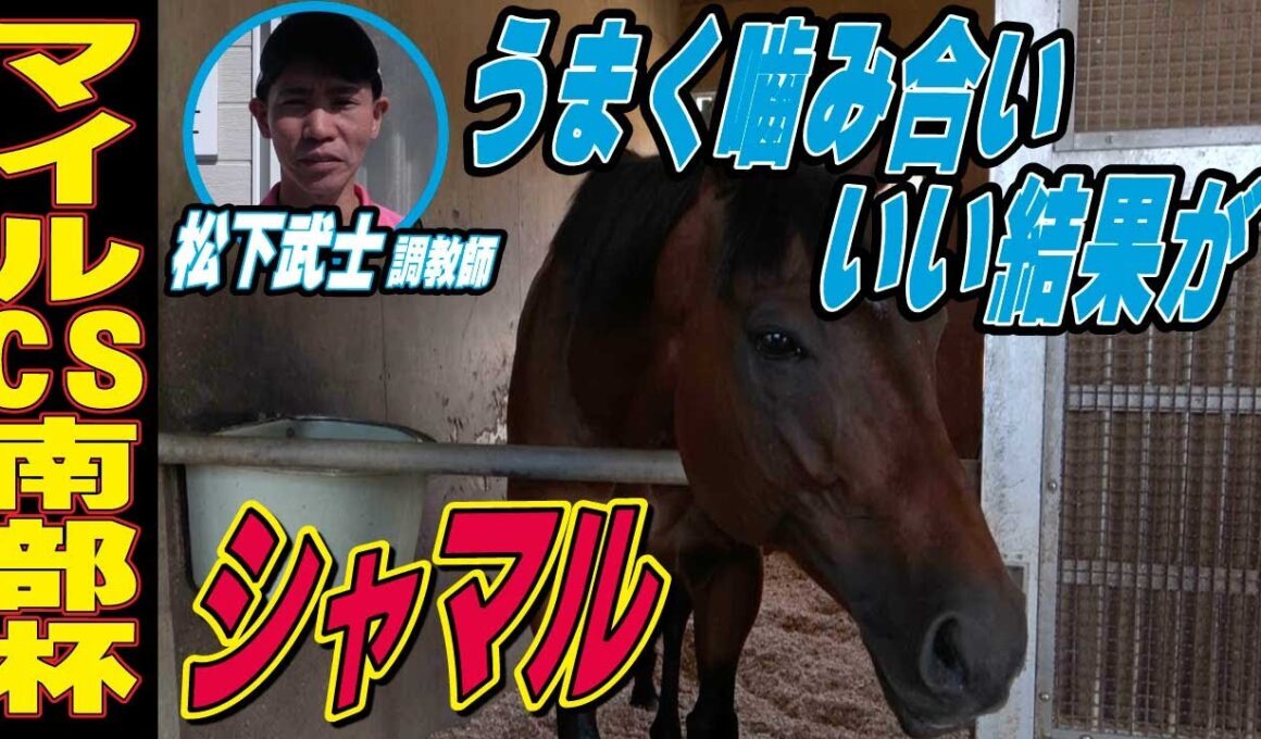 【マイルCS南部杯2025】シャマル・松下武士調教師インタビュー「うまいこと噛み合っていい結果が」「コースもシャマルに合っている」《東スポ競馬》