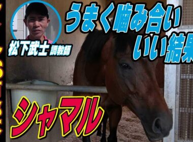 【マイルCS南部杯2025】シャマル・松下武士調教師インタビュー「うまいこと噛み合っていい結果が」「コースもシャマルに合っている」《東スポ競馬》
