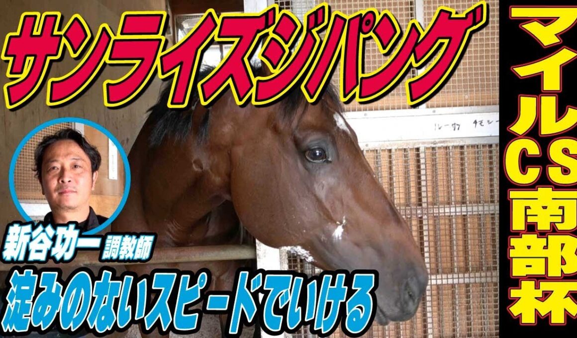 【マイルCS南部杯2025】サンライズジパング・新谷功一調教師インタビュー「ゴールまで淀みのないスピードでいける」「盛岡の広さを活かしてくれたら」《東スポ競馬》
