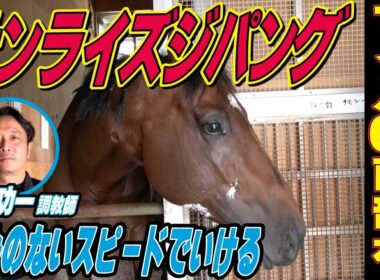 【マイルCS南部杯2025】サンライズジパング・新谷功一調教師インタビュー「ゴールまで淀みのないスピードでいける」「盛岡の広さを活かしてくれたら」《東スポ競馬》