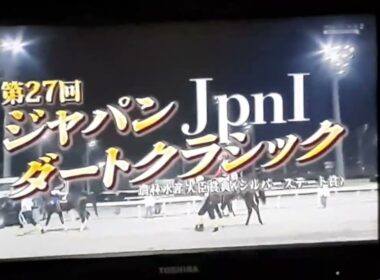 第27回ジャパンカップダートクラシックG12000m