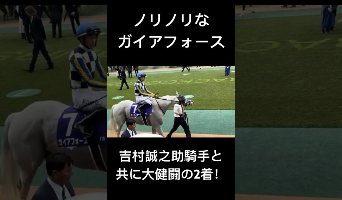 安田記念2025 ノリノリなガイアフォース #ガイアフォース #シェケナ #吉村誠之助 #安田記念 #競馬 #東京競馬場 #shorts