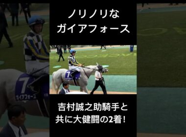 安田記念2025 ノリノリなガイアフォース #ガイアフォース #シェケナ #吉村誠之助 #安田記念 #競馬 #東京競馬場 #shorts
