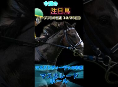 今週は土曜にホープフルステークス、日曜に東京大賞典があります!ホープフルステークス 東京大賞典井競馬#ホープフルs2024#競馬 #競馬予想 #馬 #shorts