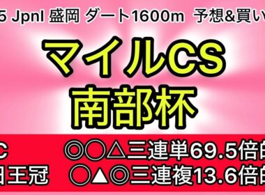 【競馬予想 マイルCS南部杯2025】予想&買い目　マイルCS南部杯の予想&買い目を発表！