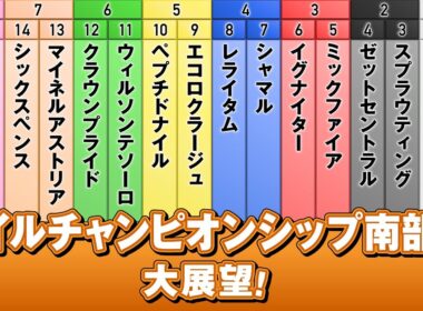 アタック！地方競馬｜第341回｜マイルチャンピオンシップ南部杯　大展望！｜NAR公式