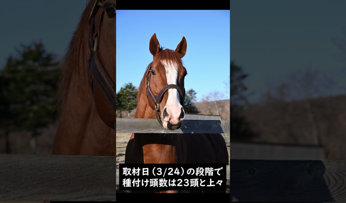 【風のたより】大阪杯勝ち馬ジャックドール