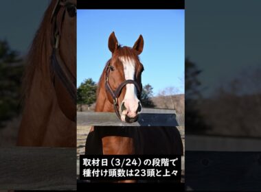 【風のたより】大阪杯勝ち馬ジャックドール