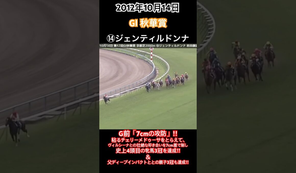 秋華賞2012 G前「7cmの攻防」‼︎粘るチェリーメドゥーサをとらえてヴィルシーナとの叩き合いを7cm差で制し史上4頭目の牝馬3冠を達成‼︎#競馬#ジェンティルドンナ#岩田康誠#秋華賞#shorts