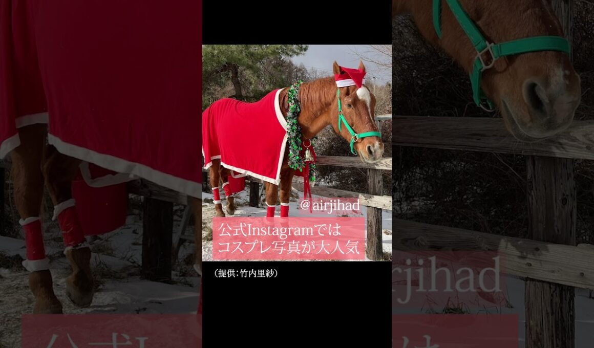 【風のたより】マイルCS勝ち馬エアジハード