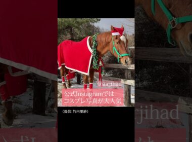 【風のたより】マイルCS勝ち馬エアジハード