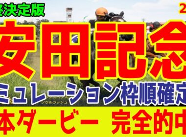【安田記念2025】【最終決定版】シミュレーション枠順確定版【ドラマチックカメラ】最終決断で本命にしたのはあの馬だ！枠・コース・展開予想から導き出した春のマイル王はこの馬だ！！【競馬予想】