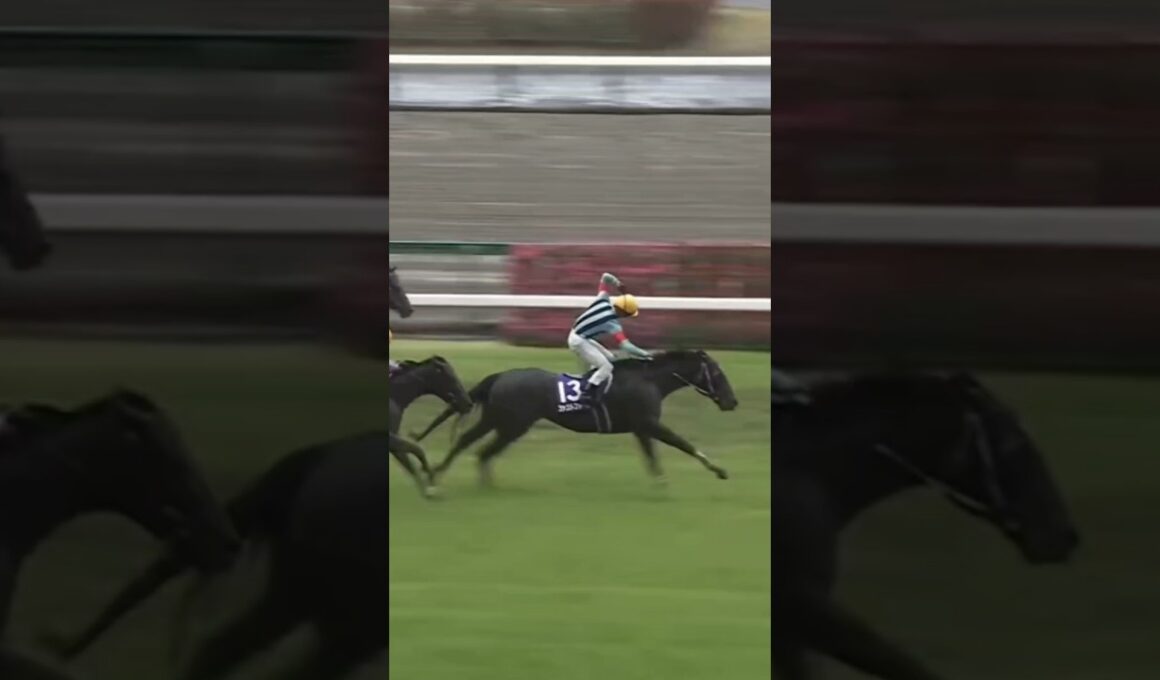 #shorts 2023 高松宮記念 #ファストフォース #団野大成