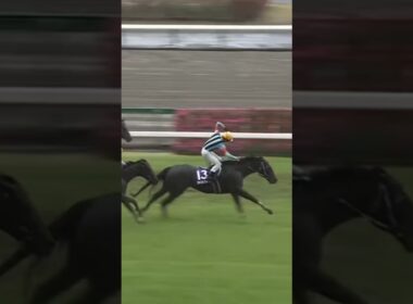 #shorts 2023 高松宮記念 #ファストフォース #団野大成