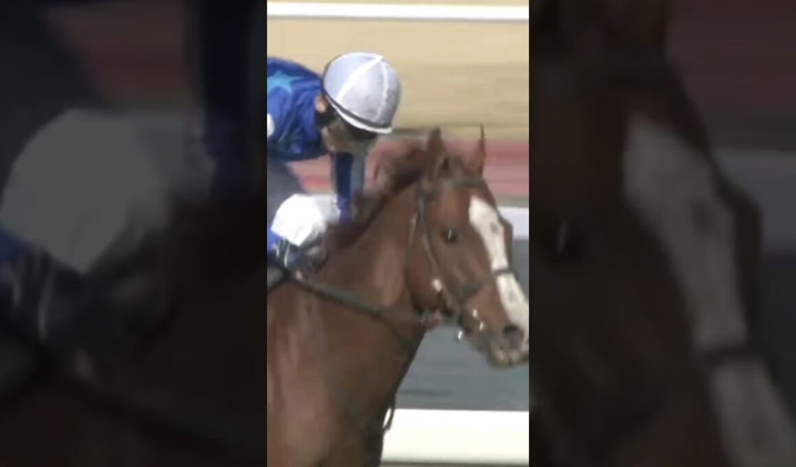 #shorts 2022 高松宮記念 #ナランフレグ #丸田恭介