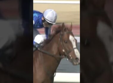 #shorts 2022 高松宮記念 #ナランフレグ #丸田恭介