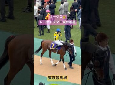 オークス🎀坂井瑠星✖️レーゼドラマ #horse #競馬 #オークス#優駿牝馬#オークス2025#G1#パドック#東京競馬場#坂井瑠星