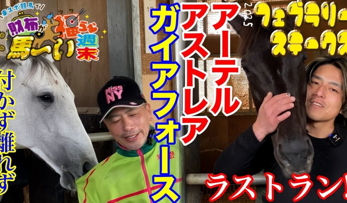 【2025フェブラリーS】ガイアフォース/アーテルアストレア陣営を直撃・視聴者プレゼントもあるよ！【東スポ競馬で財布が福らむ馬〜い週末】