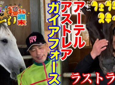 【2025フェブラリーS】ガイアフォース/アーテルアストレア陣営を直撃・視聴者プレゼントもあるよ！【東スポ競馬で財布が福らむ馬〜い週末】