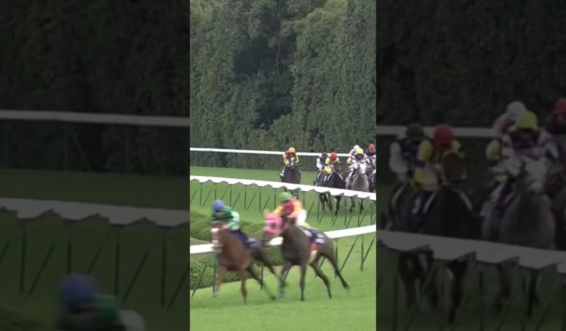 #shorts 2009 エリザベス女王杯 #クィーンスプマンテ #田中博康