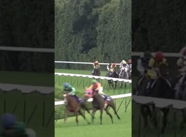 #shorts 2009 エリザベス女王杯 #クィーンスプマンテ #田中博康