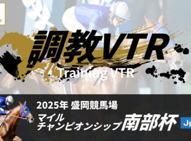 調教VTR｜2025年 マイルチャンピオンシップ南部杯 JpnI｜NAR公式