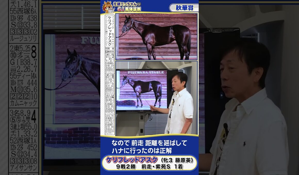 【2025年 秋華賞】紫苑Ｓの覇者ケリフレッドアスクの馬体診断　 #shorts #競馬 #予想